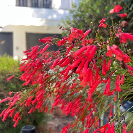 Natalia'S Townhouse, Margarita Gardens 003 Βίλα Πάφος Εξωτερικό φωτογραφία